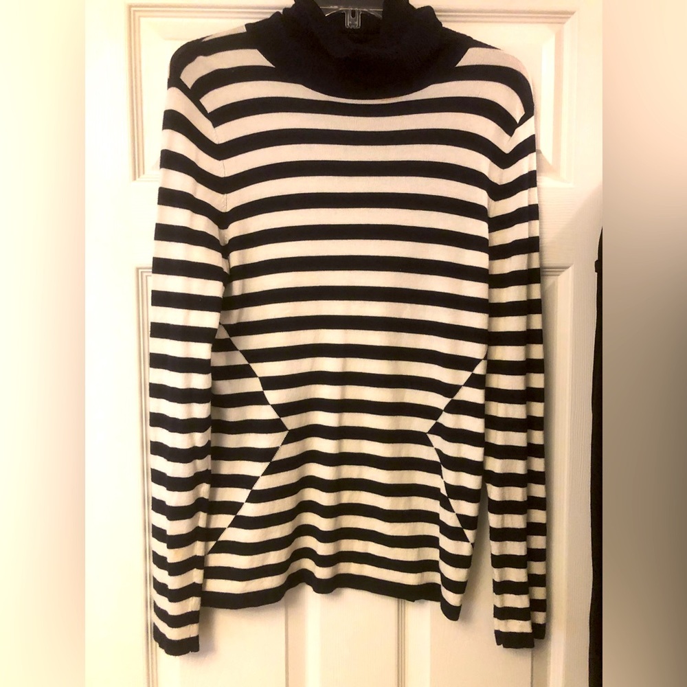The Limited large turtleneck